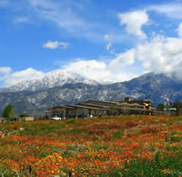 Spring in Yucaipa Valley